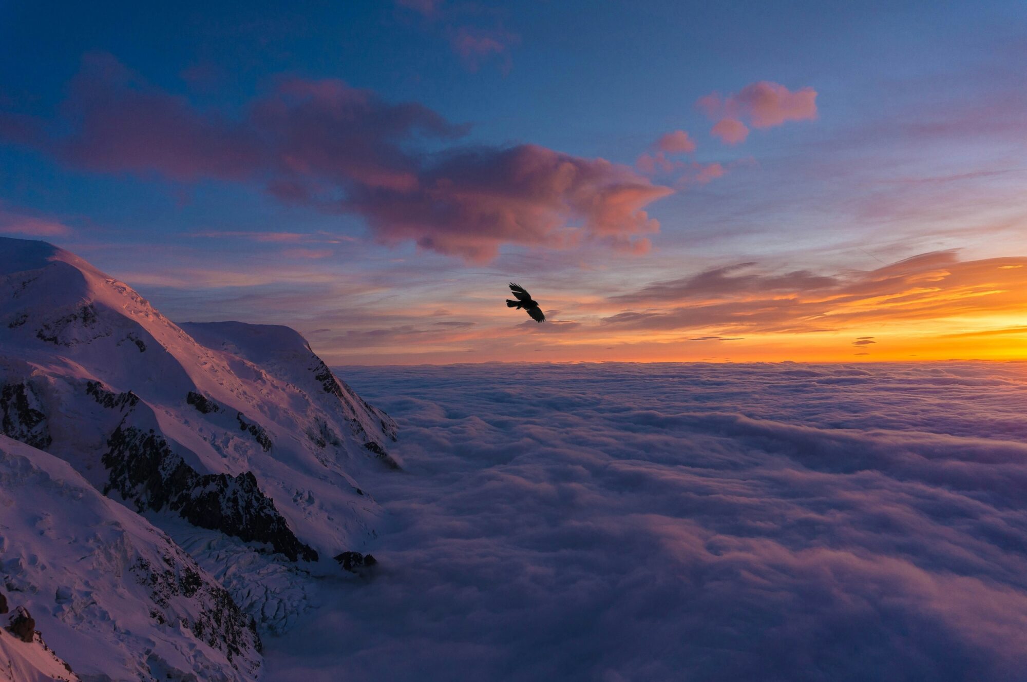 Das Bild zeigt einen Adler der über den Wolken in einen Sonnenuntergang in den Bergen fliegt. Er soll den Erfolg einer Unternehmensberatung symbolisieren.